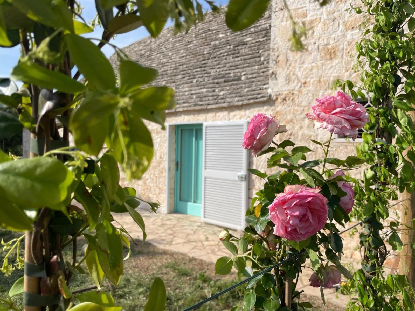 Giardino Dei Trulli Cummerse Faccia di Trippa di Monte Exteriör bild